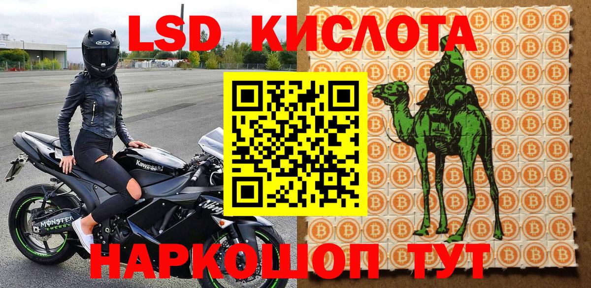 Наркотические марки 1,5мг  Вход с VPN  Наркотические марки  Нововоронеж 