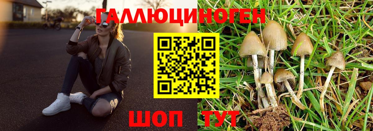 Галлюциногенные грибы прущие грибы Нововоронеж