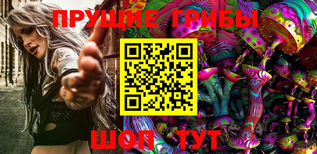 Нововоронеж  как найти   Вход с VPN  Галлюциногенные грибы Magic Shrooms 